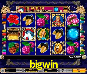 Descubra a Magia dos Jogos de Arcade no bigwin